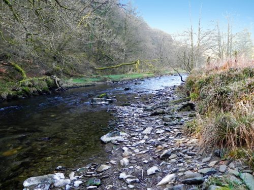 43.-Flowing-Past-Great-Birchcleeve-Wood-2