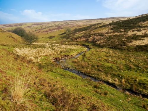 43.-Flowing-between-Hoar-Oak-Hill-and-Exe-Plain-2