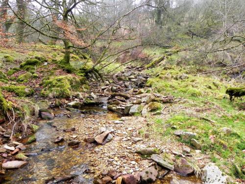 43.-Flowing-through-Mansley-Combe-2