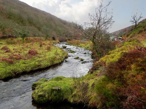 43.-Flowing-towards-Robbers-Bridge-2