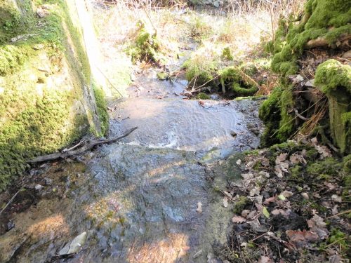 43.-Looking-downstream-from-Smallcombe-Bridge-2