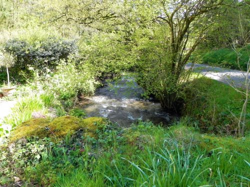 43.-Looking-upstream-from-New-Mill-Access-Bridge-2