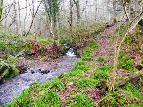 43.-Tributary-stream-Hartford-Bottom-2