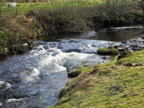43.-Upstream-from-Cloud-Farm-2
