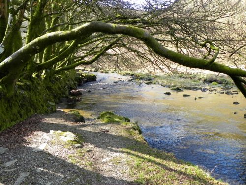 43.-Upstream-from-Great-Woolcombe-2