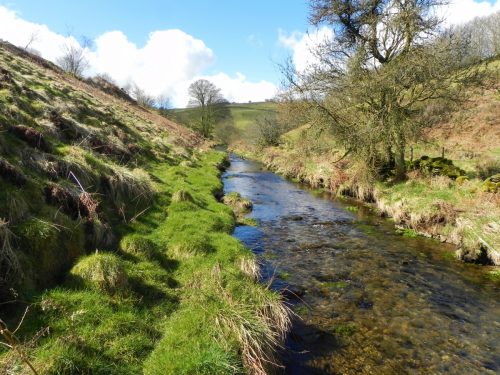 43.-Upstream-from-Sherdon-Cottage-2