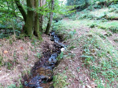 43.-Upstream-from-bridleway-DU-715-ford-2