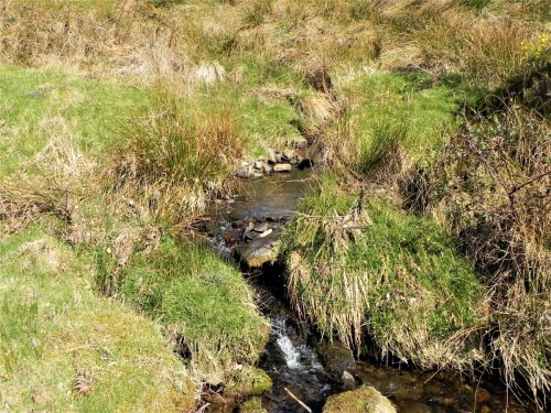 43.-Waters-flowing-down-Fox-Combe-2
