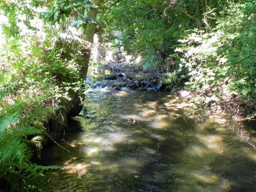 43a.-Upstream-from-The-Barton-Footbridge-2