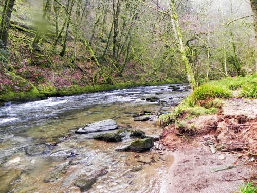 44.-Below-Knaplock-Wood-2