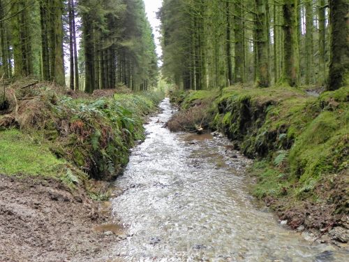 44.-Downstream-from-Beatland-Plantation-Ford-2