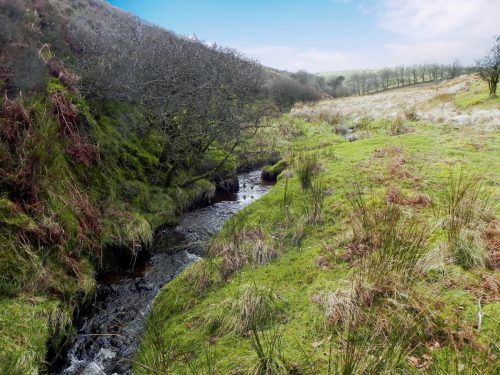 44.-Downstream-from-Chetsford-Bridge-2