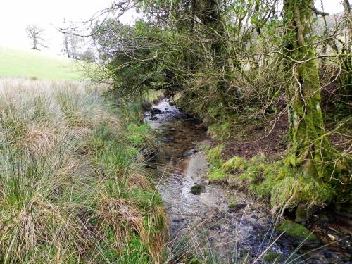 44.-Downstream-from-Riscombe-Combe-2