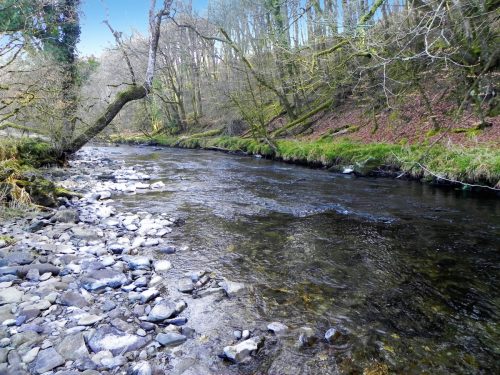 44.-Flowing-Past-Great-Birchcleeve-Wood-2