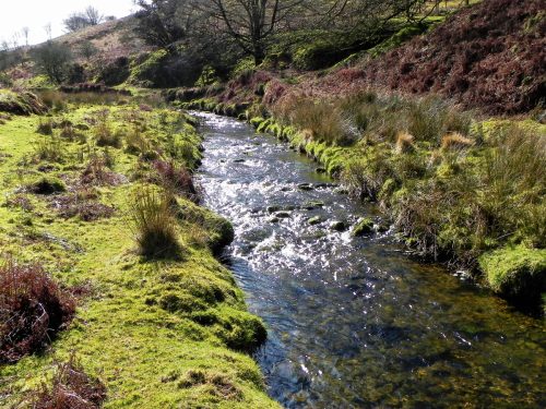 44.-Flowing-below-Furzehill-Common-2