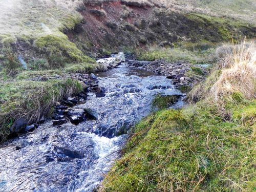 44.-Flowing-below-Hoccombe-Hill-2