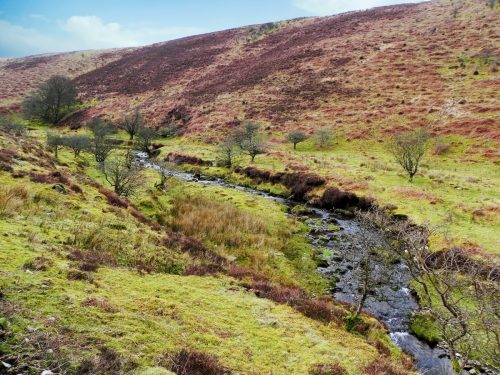 44.-Flowing-below-Pig-Hill-2