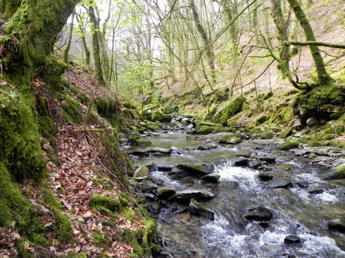 44.-Flowing-below-South-Down-2