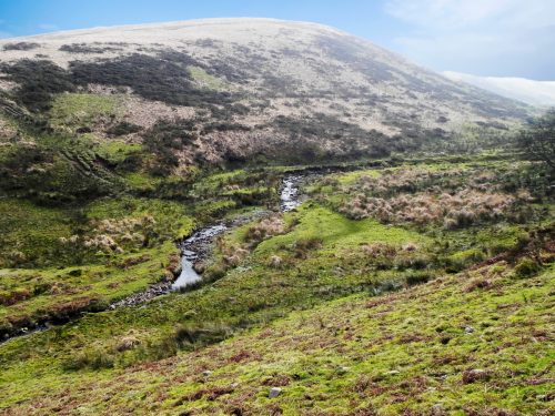 44.-Flowing-between-Hoar-Oak-Hill-and-Exe-Plain-2