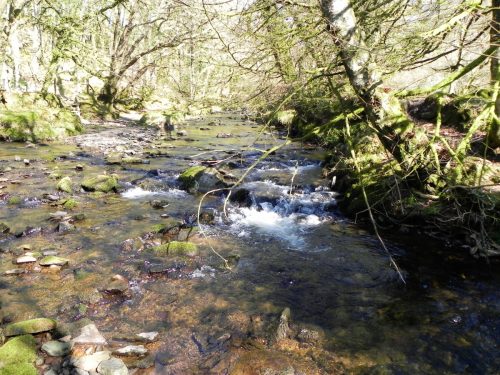 44.-Flowing-past-Shircombe-Brake-2