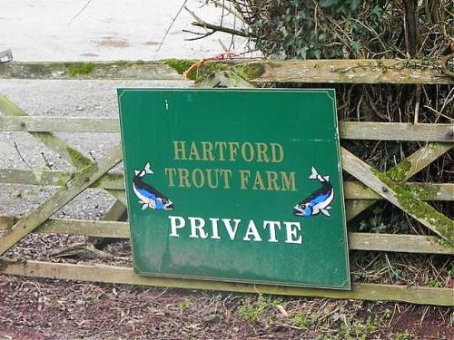 44.-Hartford-Trout-Farm-Ponds-2