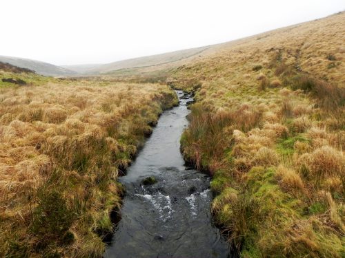 44.-Looking-upstream-from-Long-Combe-Footbridge-C-2