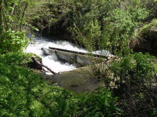 44.-Paper-Mill-Weir-B