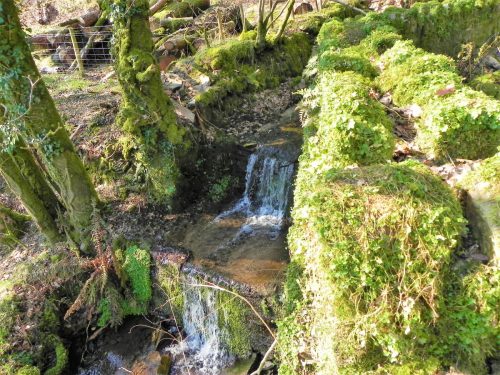 44.-Tributary-Stream-from-Smallcombe-2