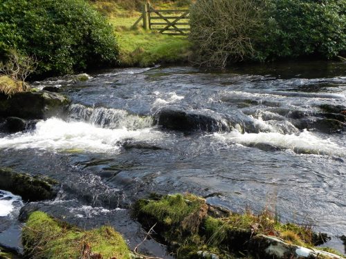 44.-Upstream-from-Cloud-Farm-2