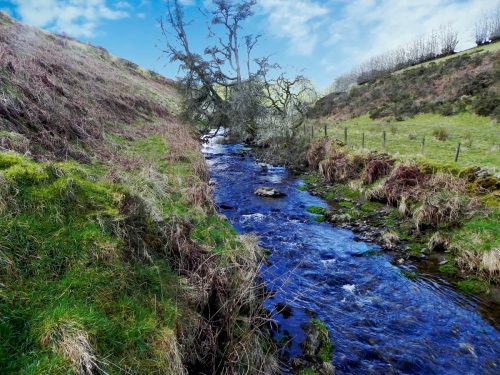 44.-Upstream-from-Sherdon-Cottage-2