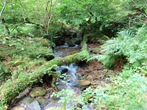 44.-Upstream-from-bridleway-DU-715-ford-2
