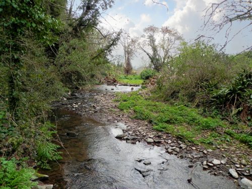 44.-Upstream-from-confluence-with-Horner-Water-2