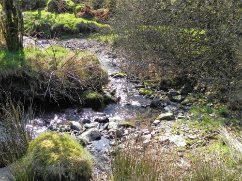 44.-Waters-flowing-down-Fox-Combe-2