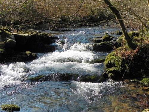 45.-Downstream-from-Smallcombe-Bridge-2