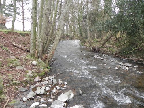 45.-Downstream-from-West-Luccombe