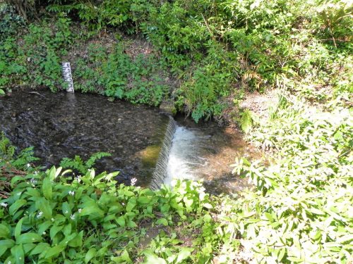 45.-Dunster-Mill-Tail-Race-Weir-2