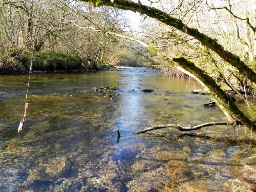 45.-Flowing-Past-Great-Birchcleeve-Wood-2