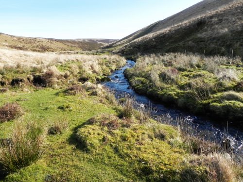 45.-Flowing-below-Hoccombe-Hill-2