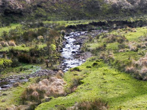 45.-Flowing-between-Hoar-Oak-Hill-and-Exe-Plain-2
