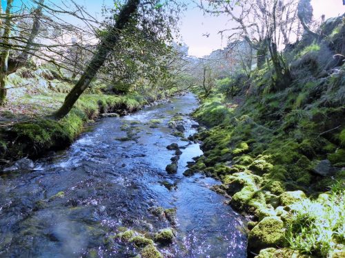 45.-Flowing-past-Shircombe-Brake-2