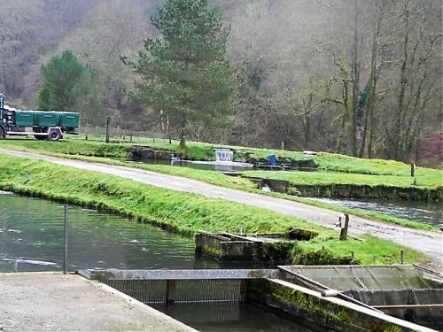 45.-Hartford-Trout-Farm-Ponds-4