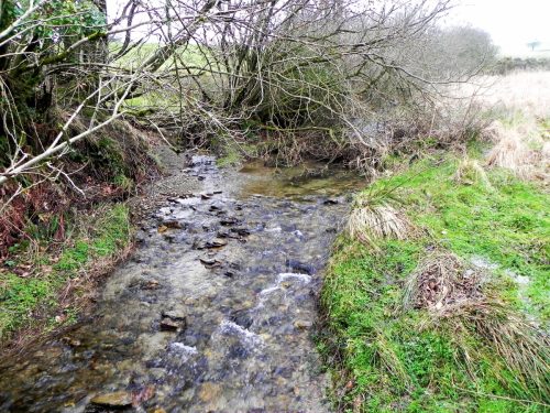 45.-Looking-upstream-from-ROW-Bridge-1995-2