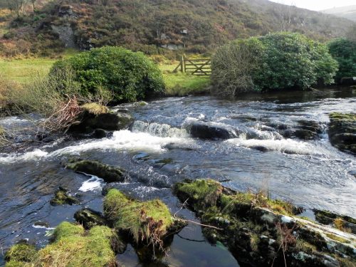 45.-Upstream-from-Cloud-Farm-2