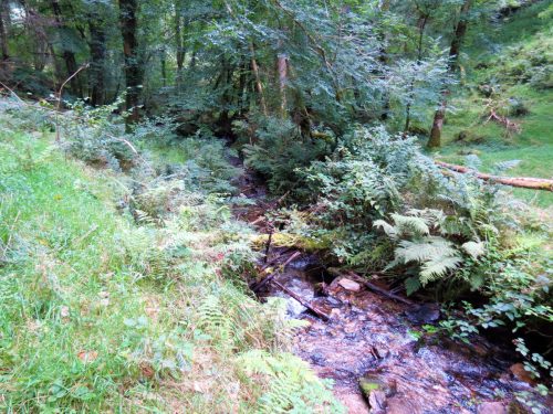 45.-Upstream-from-bridleway-DU-715-ford-2
