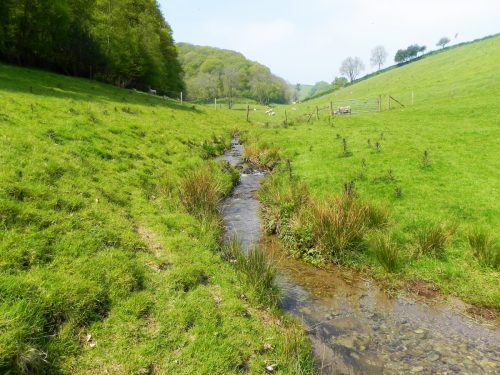 46.-Downstream-from-Old-Stowey-Farm-10