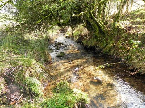 46.-Downstream-from-Riscombe-Combe-2