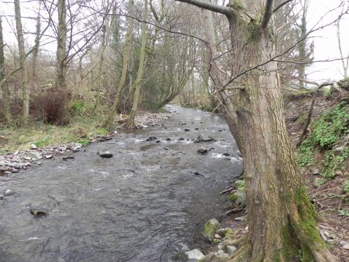 46.-Downstream-from-West-Luccombe