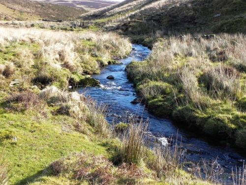 46.-Flowing-below-Hoccombe-Hill-2