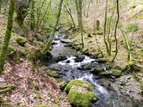 46.-Flowing-below-South-Down-2