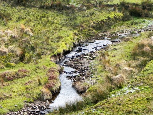 46.-Flowing-between-Hoar-Oak-Hill-and-Exe-Plain-2